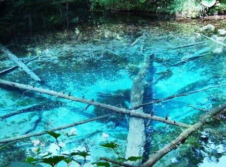 神の子池 えーきちの観光のすすめ